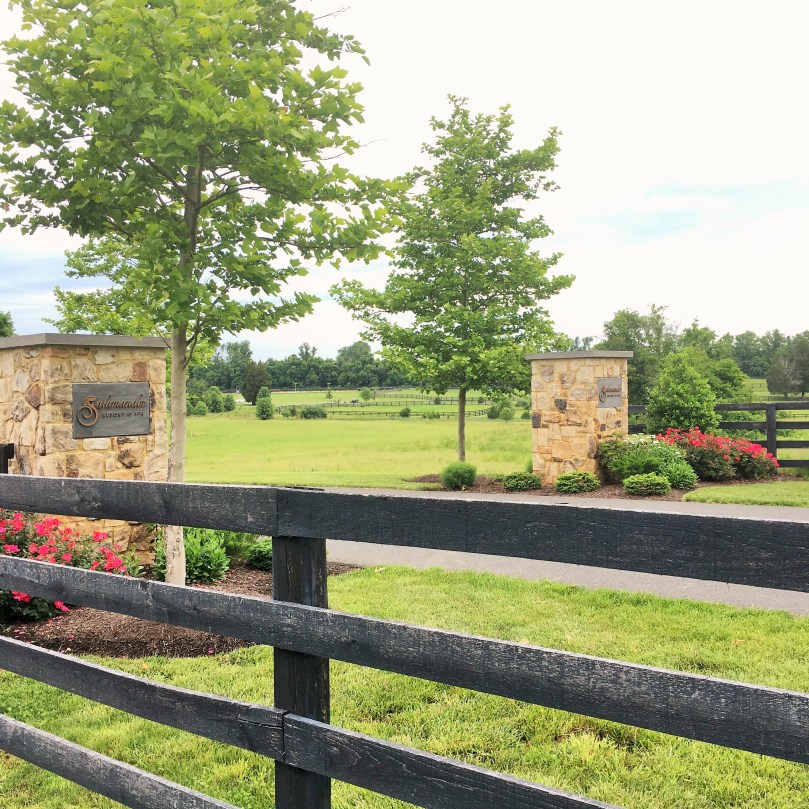 CF950D31-BDF1-468C-969C-C3E6F5F0C2FD (2)